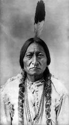 220px sitting bull