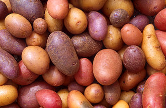 330px patates