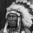 Black elk