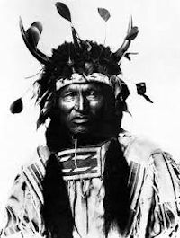 Kicking bear 2