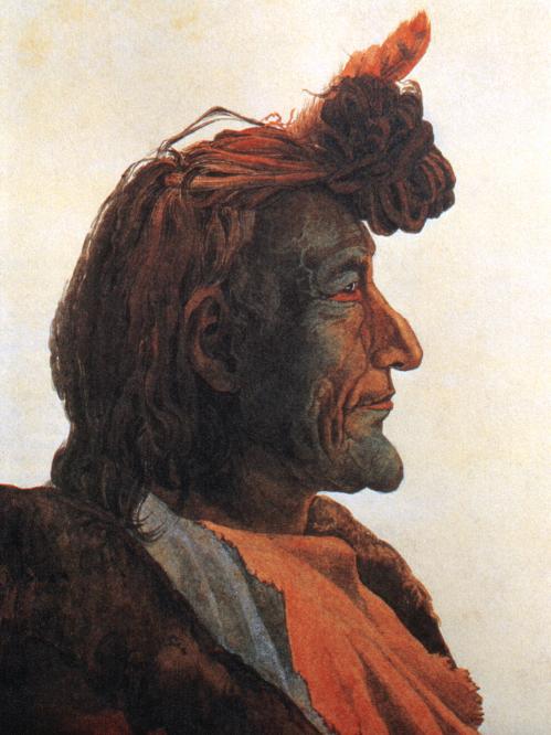 Piegan blackfeet man pioch kiaiu by karl bodmer