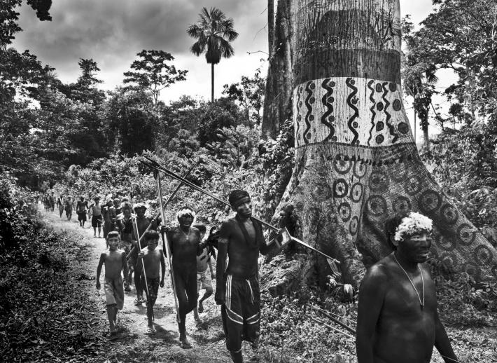 Yanomami 2