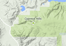 15 cypres hills