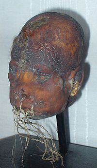 200px shrunken head lightner museum