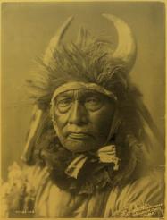 250px bull chief