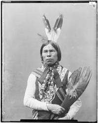 255px kickapoo babe shkit chief and delegate from oklahoma nara 523854