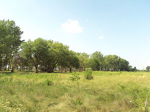 300px river raisin national battlefield park2