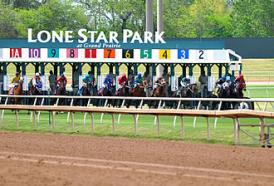 330px lone star park horse race