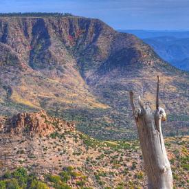 330px mogollon rim east of pine