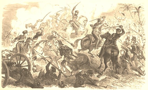 Battle of resaca de la palma