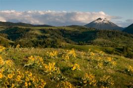 Bear paw moutains