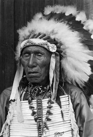 Black elk 1