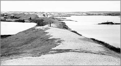 Caribou trail