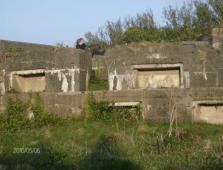 Fort grenville