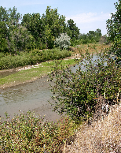 Greasy grass river