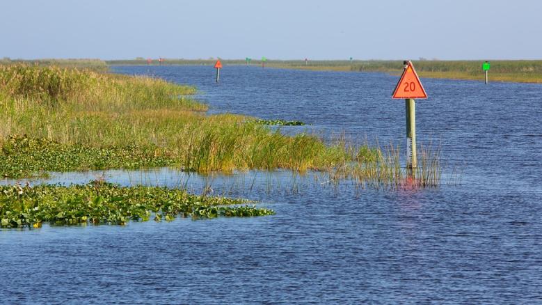 Lake okeechobee 23126