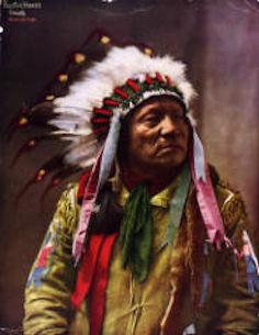 Painted horse chief