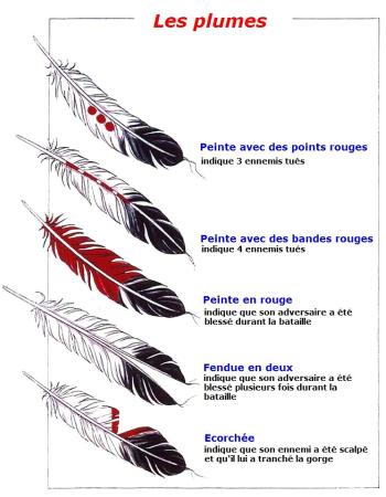 Photo i plumes01