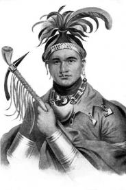 Seneca indien