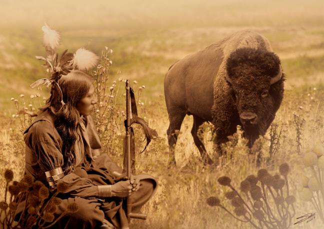 Sioux et bison