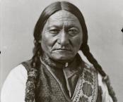 Sitting bull sitting bull 3