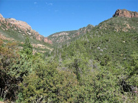 South fork parker canyon sierra ancha arizona