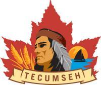 Tecumseh 300 om 1