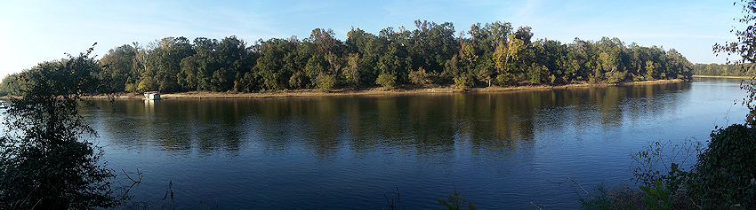 Torreya park apalachicola river pano02